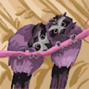 Meet your Posher, Antonio